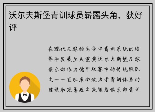 沃尔夫斯堡青训球员崭露头角，获好评